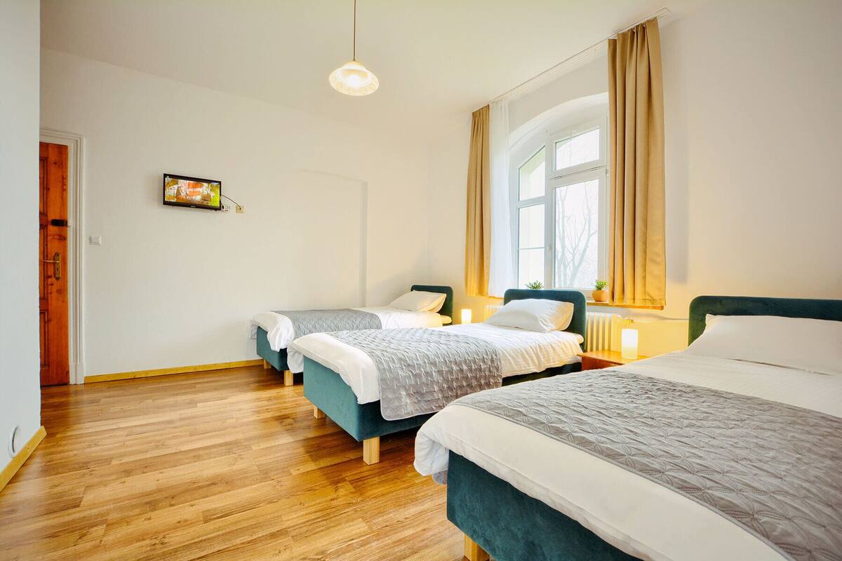 A hotel room with two single beds, a wooden floor, a window with curtains, a wall-mounted TV, and a small plant on the windowsill.