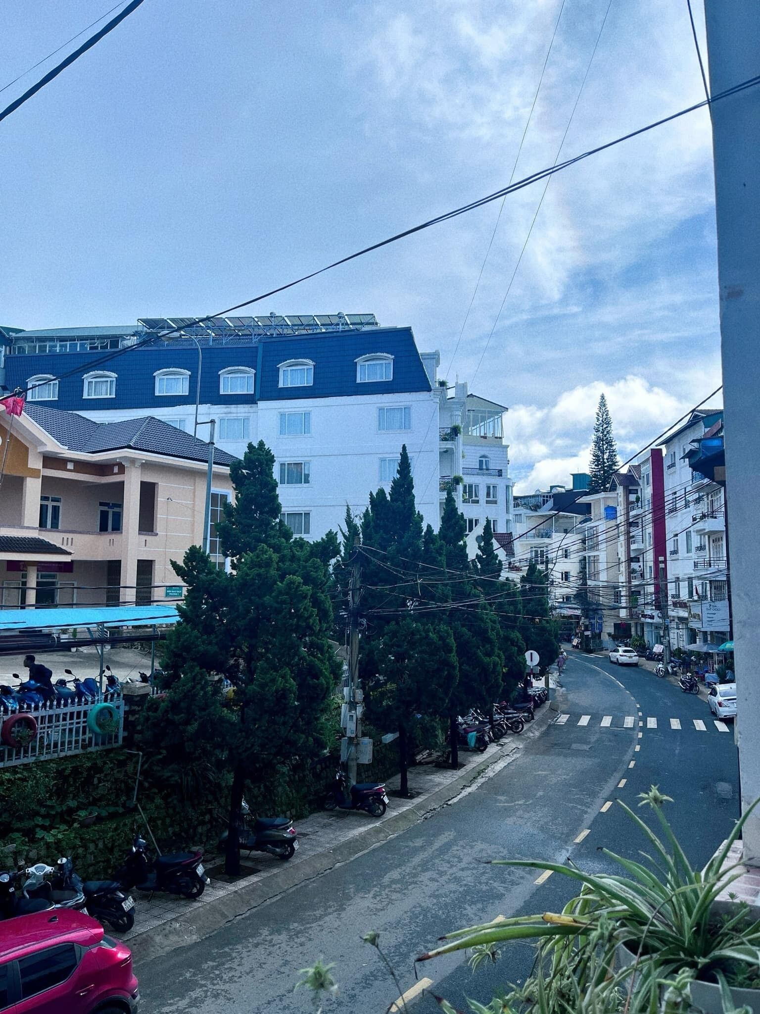 A street view with buildings, parked vehicles, and trees.