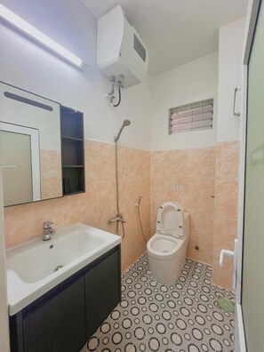 Dusche, Hydromassagedusche, Designer-Toilettenartikel, Haartrockner