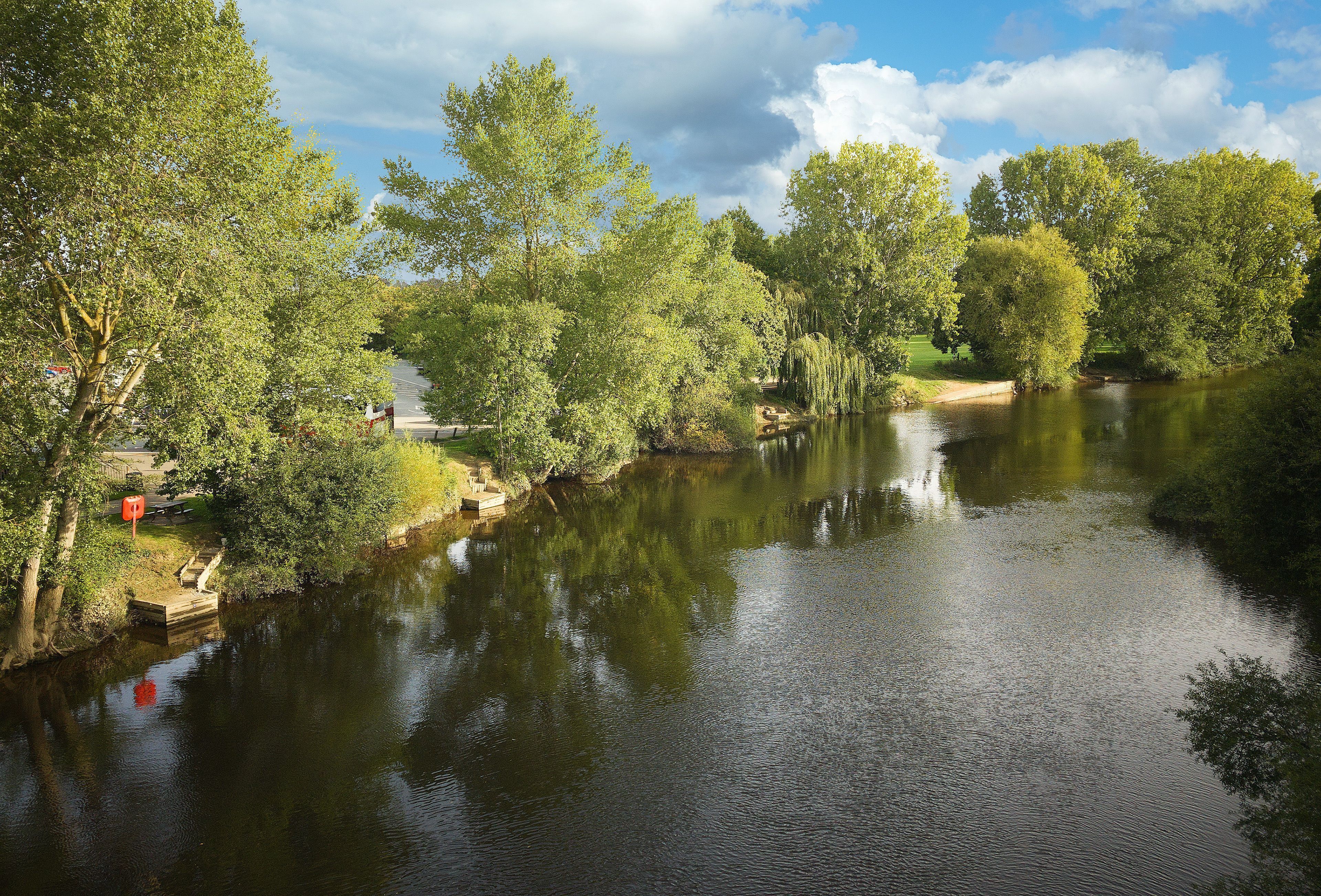 Een rustig park aan de rivier met bomen en een houten steiger.