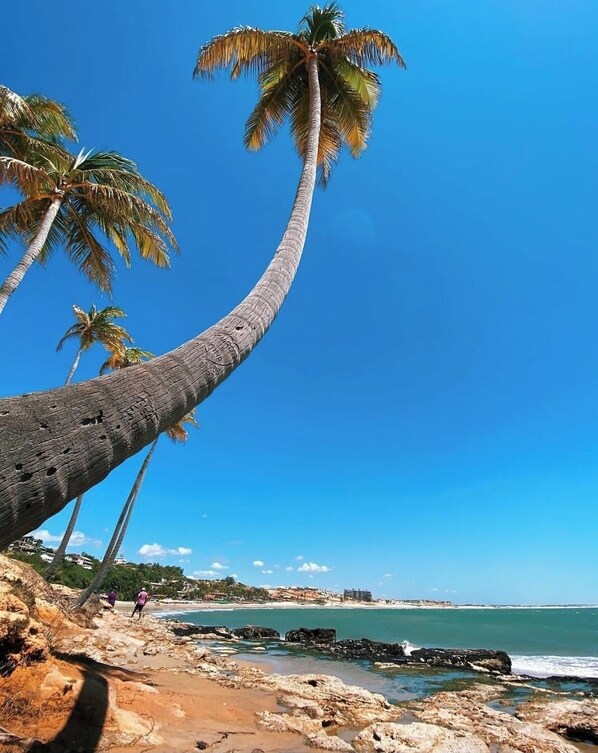 Beach nearby, white sand, sun-loungers, beach umbrellas - Apartamento Encantador  (Paraipaba)