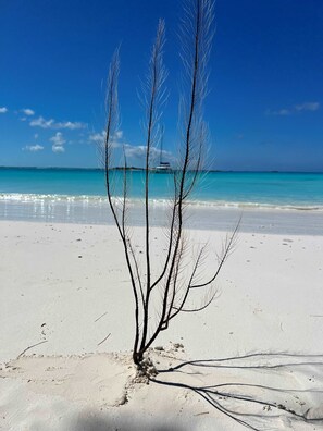 On the beach, sun-loungers, beach towels