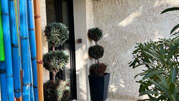 Details aan de buitenkant