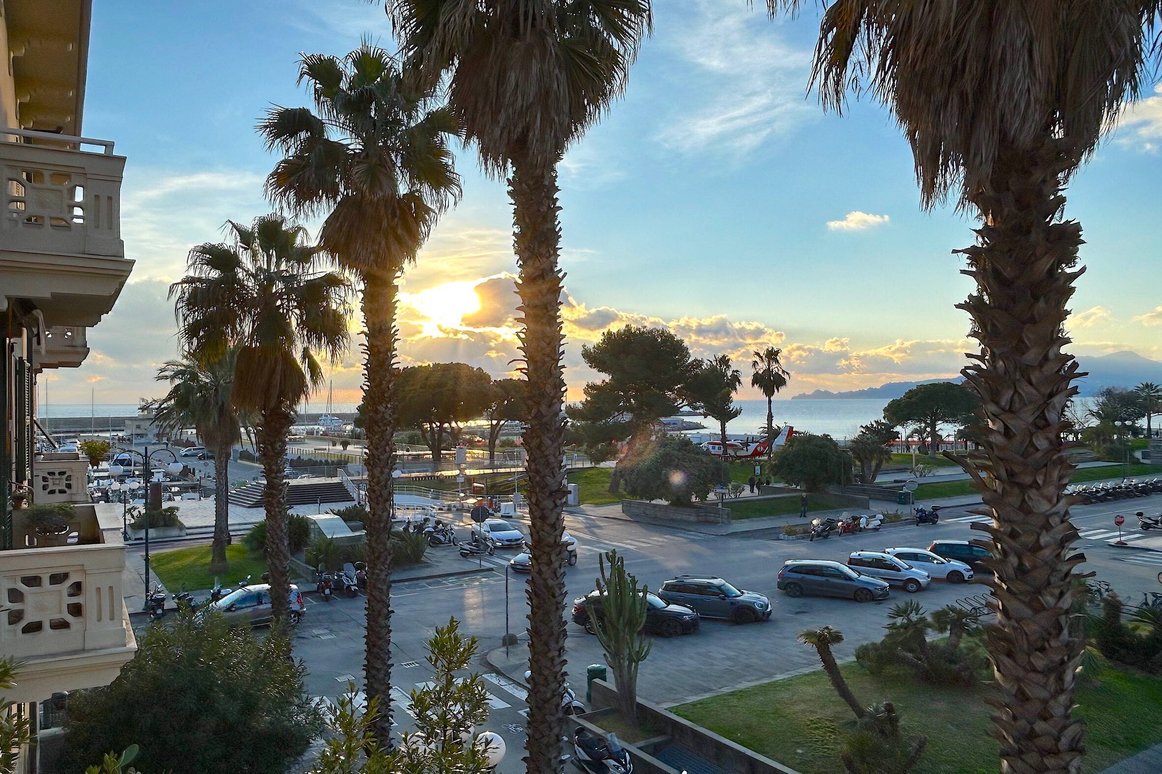 A parking area with cars and palm trees, overlooking a marina with boats.