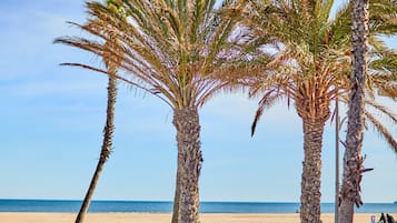 Playa
