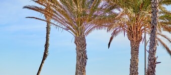 Patacona Sunrise Duplex I . Wifi + parking + pool + paddle