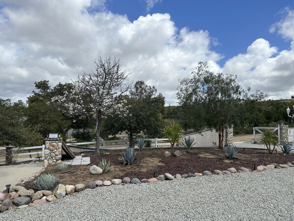 A landscaped garden with various plants and a gravel path.