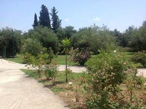 A garden with various plants and a pathway. - Yianetta Hotel (Corfu)