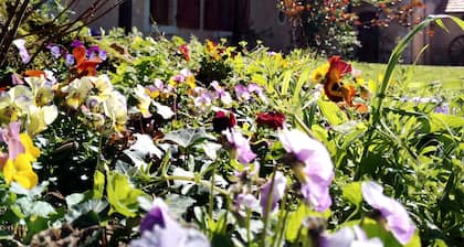 At the elves' rest. "Les licornes n'y voient que du bleu", 3* B&B in Richelieu