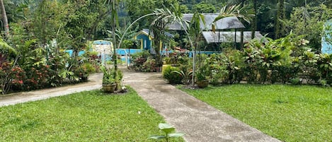 A tropical garden pathway leading to a blue building with a corrugated metal roof.