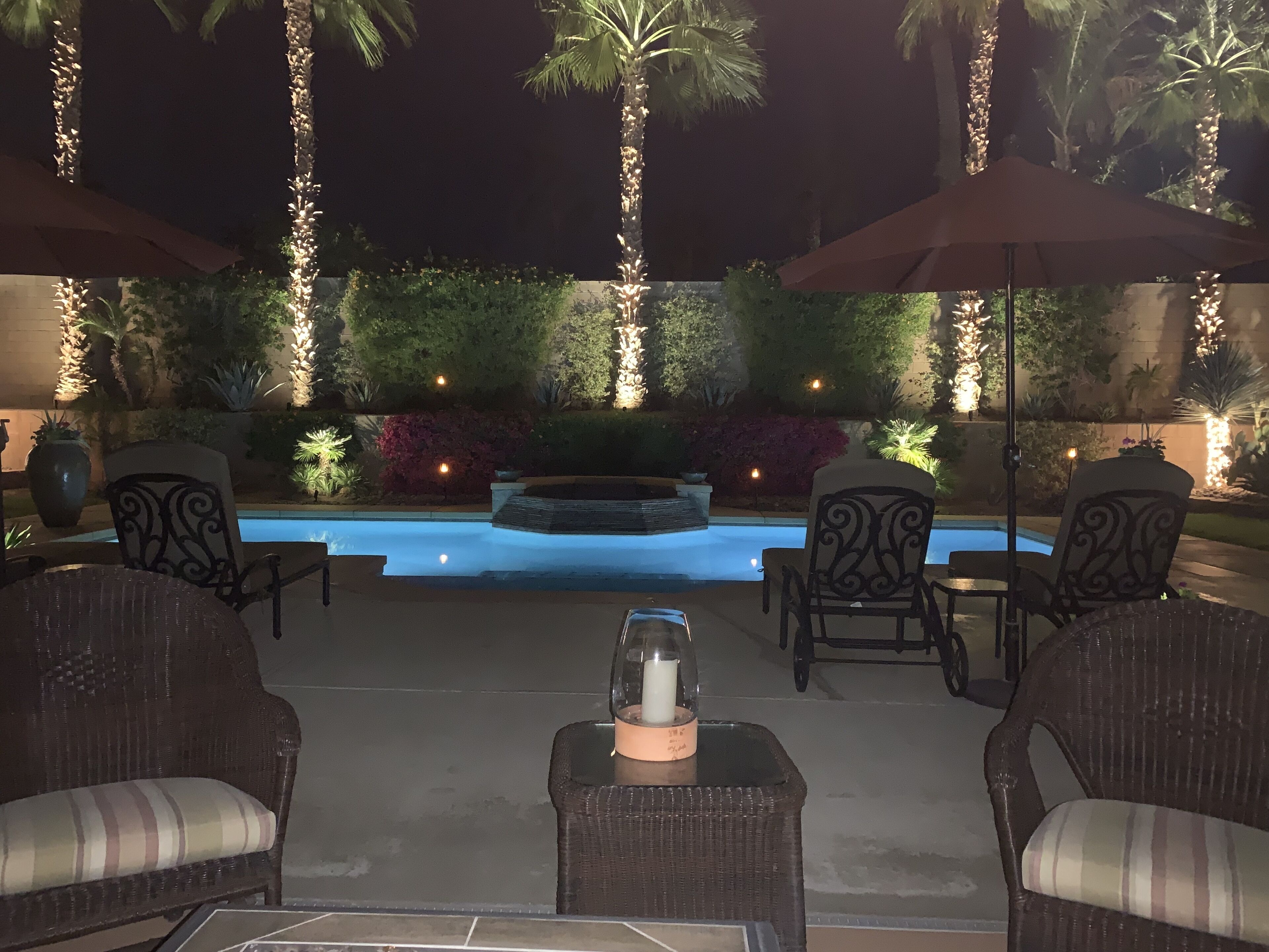 Desert oasis