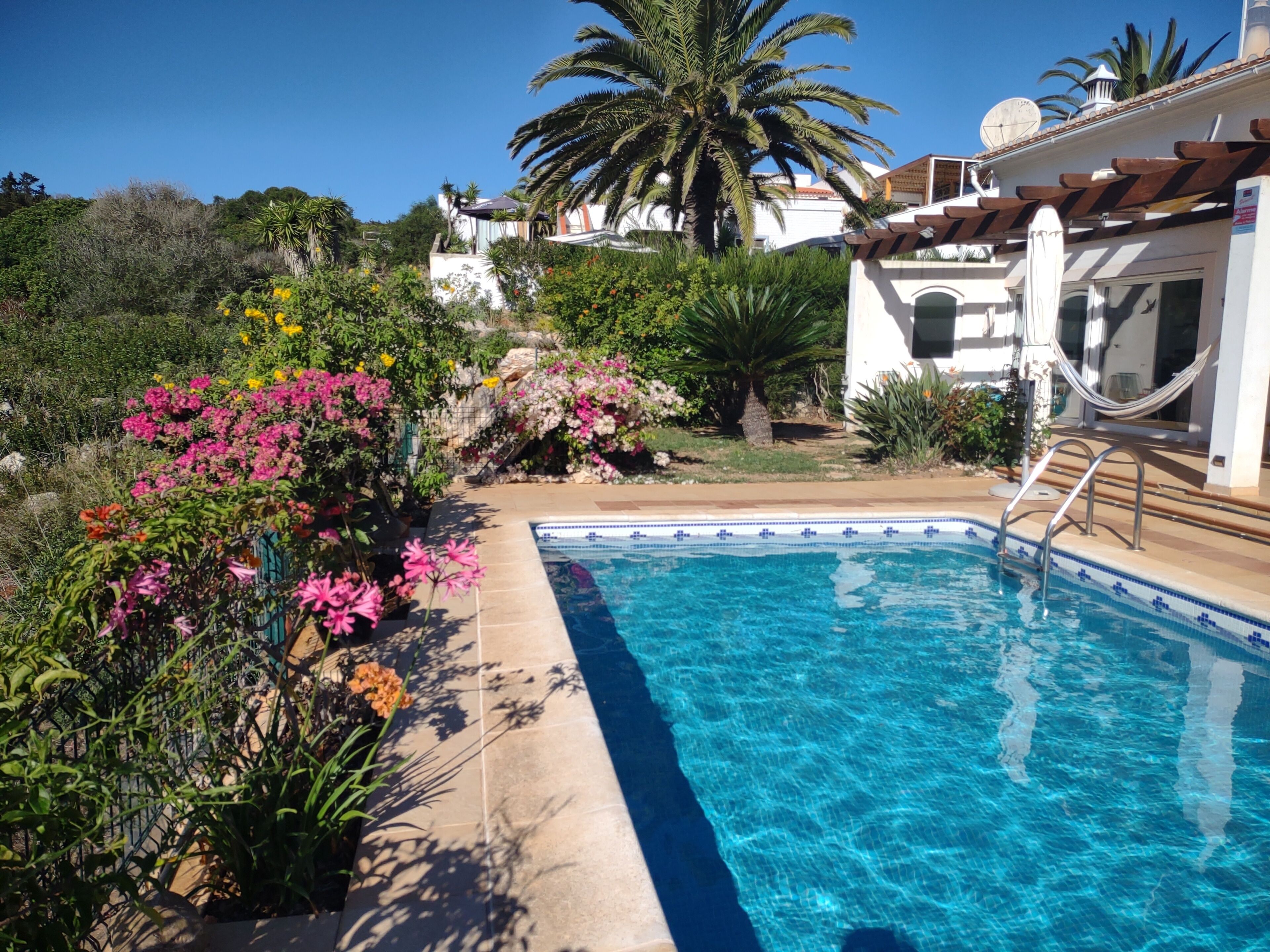 Alberca al aire libre 