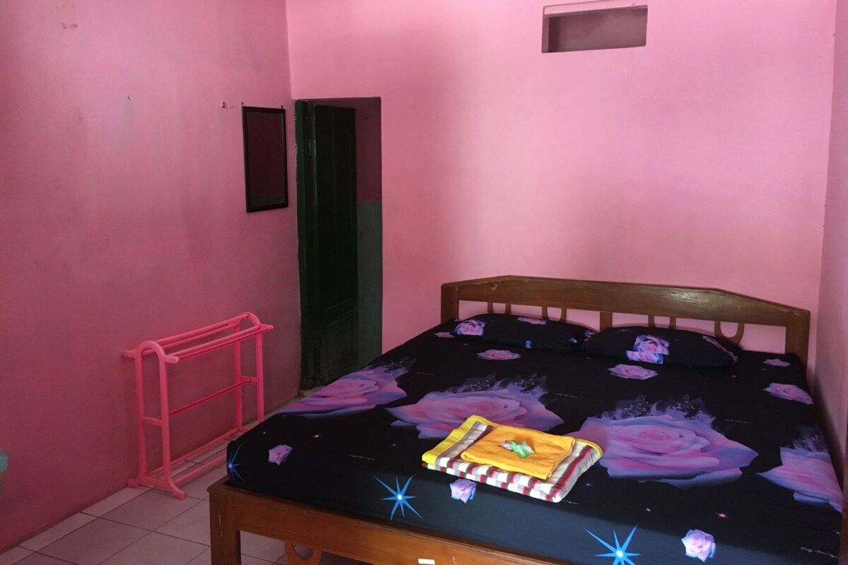 A small, pink-walled room with a wooden bed, a pink ladder, and a green door.