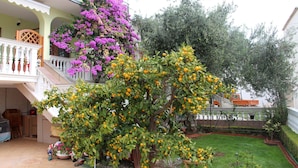 Un patio con un árbol que da frutos amarillos, un balcón con flores moradas y un césped bien cuidado.