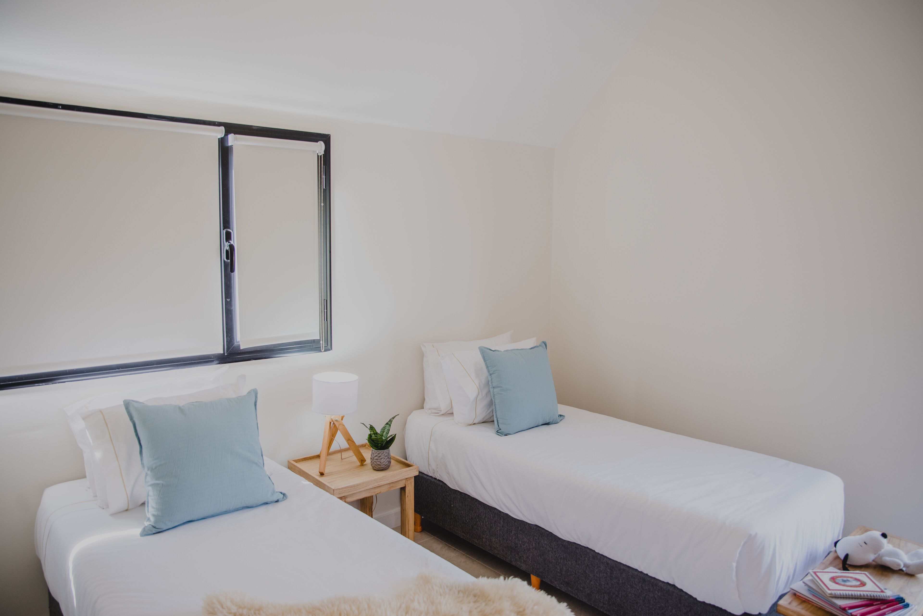 A bedroom with two single beds, a bedside table with a lamp, a small plant, and a window with blinds.