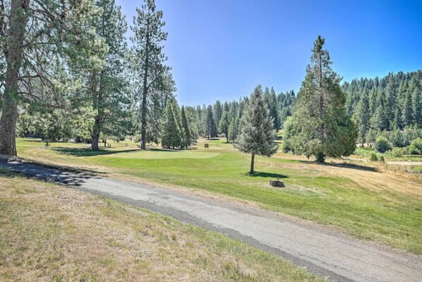 A rural landscape with a gravel path, grassy areas, and dense trees.