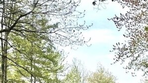 Un escalier en bois mène à un sentier qui longe un lac, le tout étant entouré d’arbres.