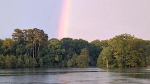 A forested shoreline with a rainbow over a body of water.