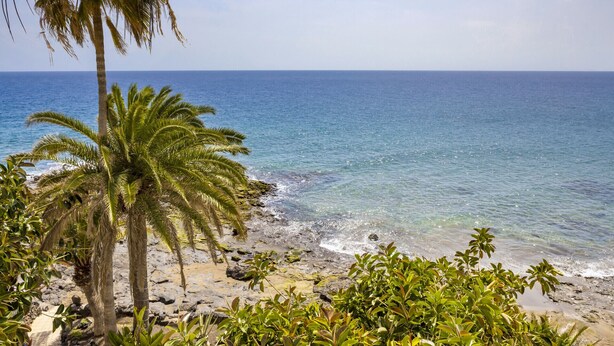 A beach with palm trees and clear blue water. - "Ocean View" Apartment in Lanzarote | Canary Islands - Spain (Tías)