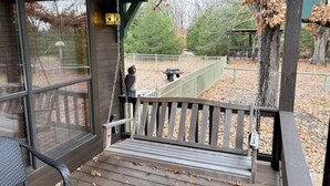 Une terrasse en bois avec un banc, un fauteuil suspendu et une vue sur une zone clôturée, agrémentée d’arbres et d’un banc au fond.