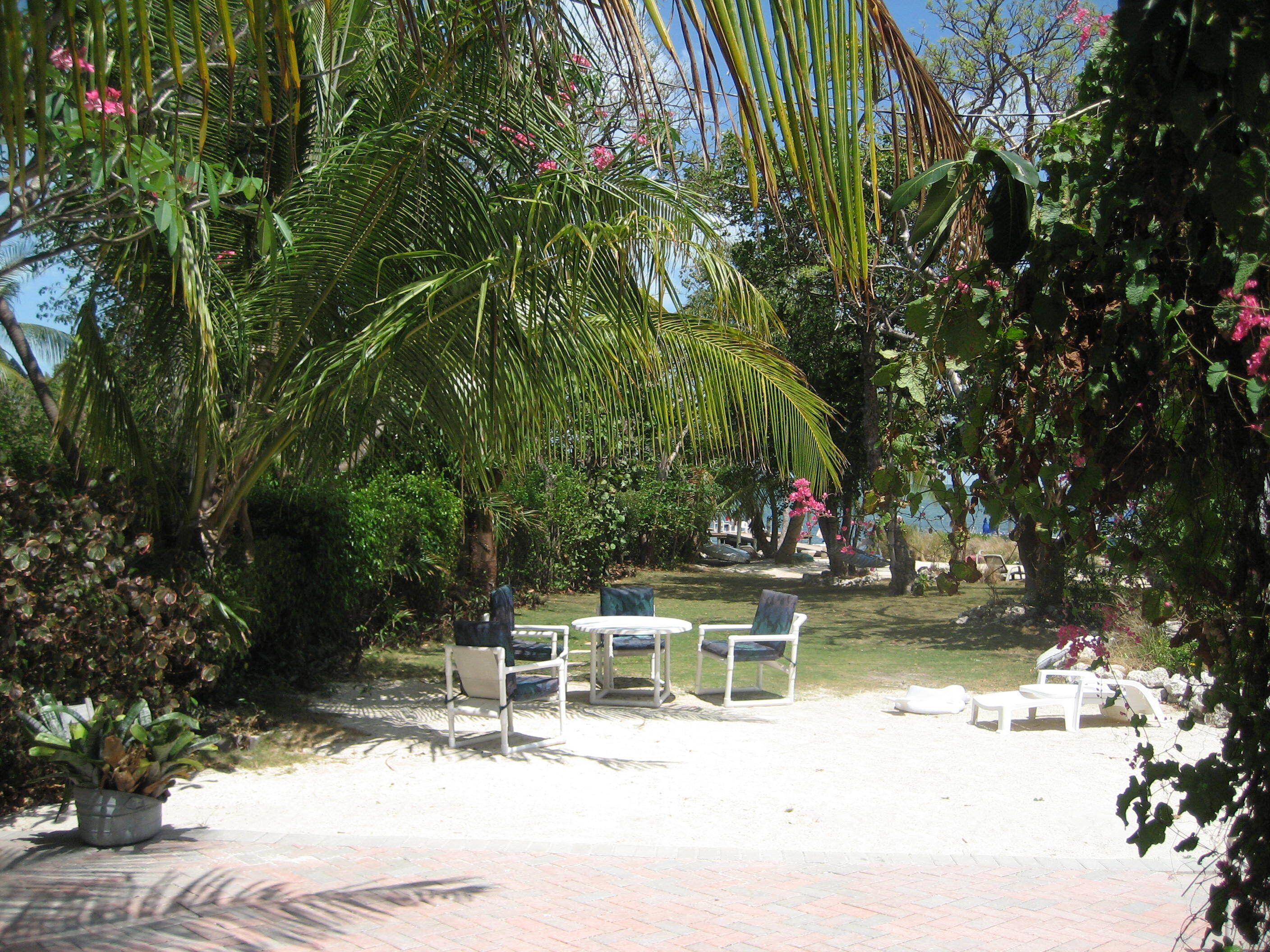 A garden with palm trees, a white chair, and a table.