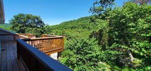 Una terraza de madera con barandilla que da a un exuberante bosque y colinas.