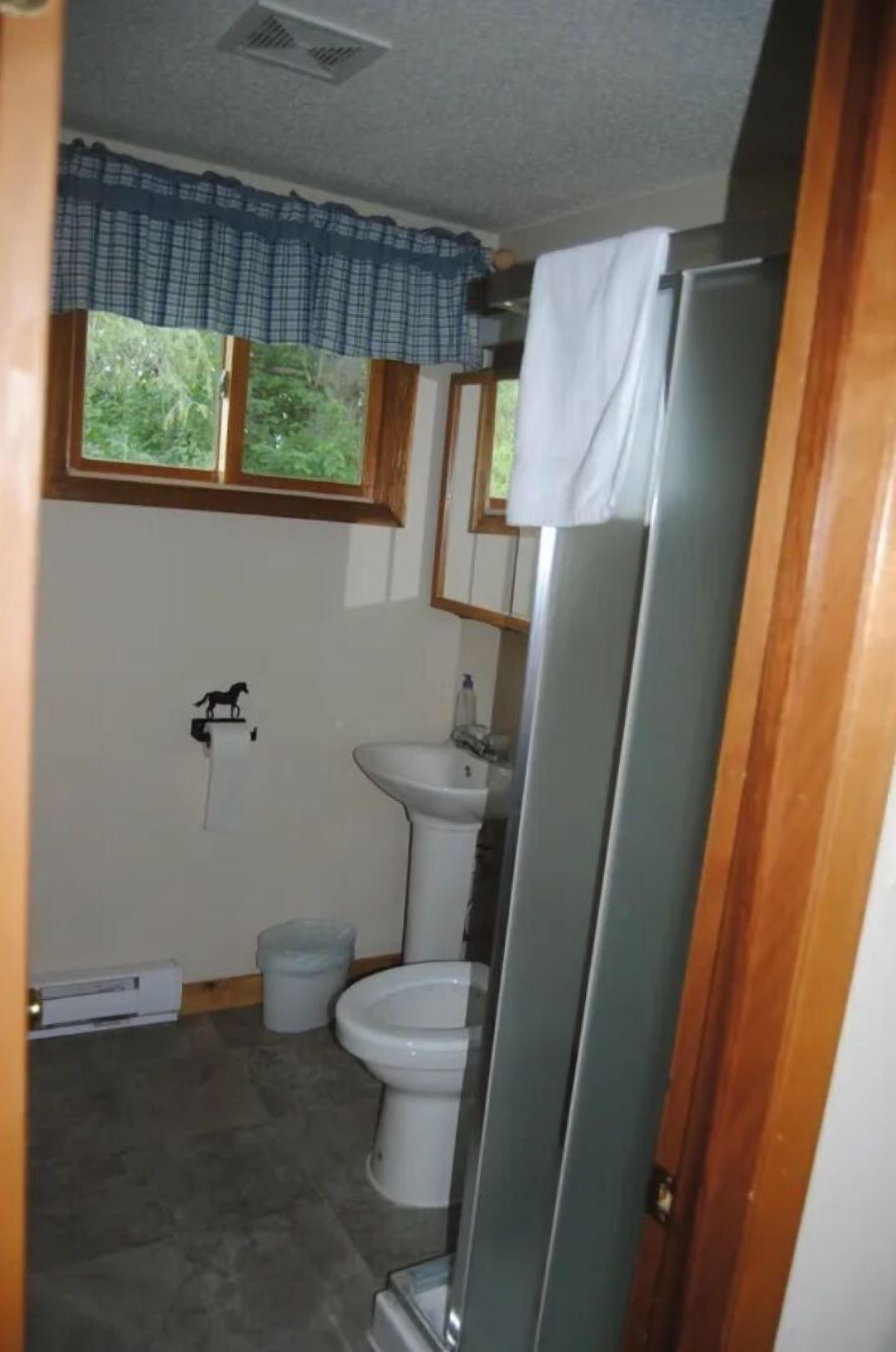 Hair dryer, towels, soap, toilet paper
