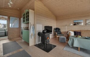 Fernseher, Kamin