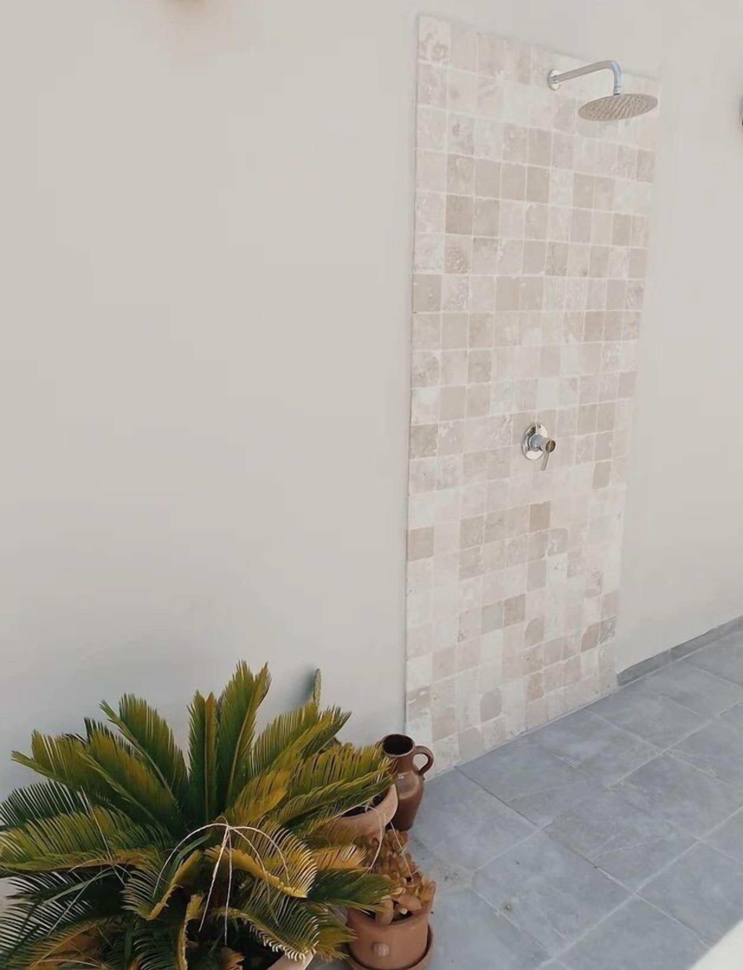 Une salle de bain avec une douche, des murs carrelés et une plante en pot.
