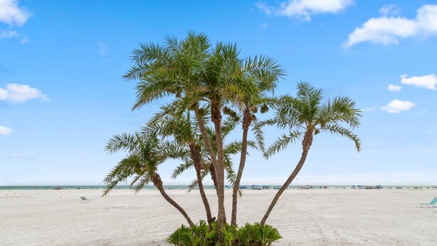 Una playa con un pequeño grupo de palmeras al frente y una extensión arenosa hasta el horizonte.