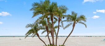 [Beach Elements] pool view withprivate beach access