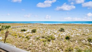 A coastal landscape with sparse vegetation and a clear sky. - Phoenix VI 201 | Orange Beach, AL (Orange Beach)