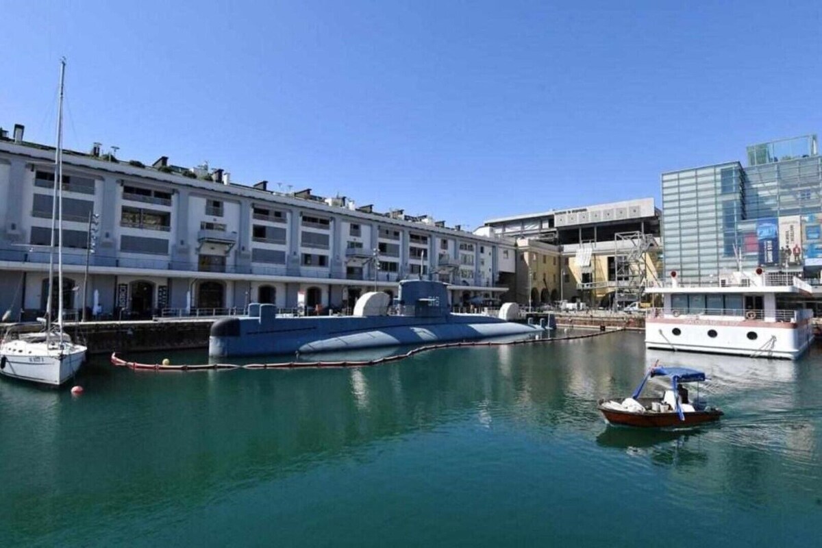 Imagen de perfil del propietario o de la propietaria