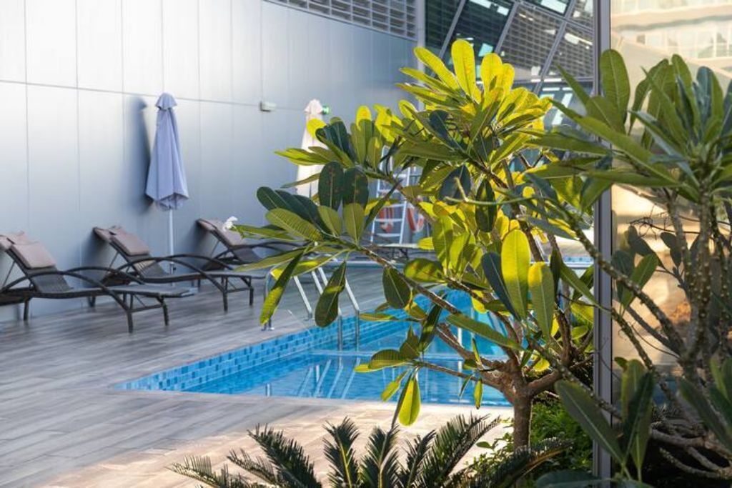 A poolside area with lounge chairs and a small pool.