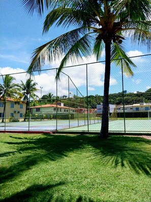 Enjoy a game of tennis in a serene tropical setting surrounded by lush greenery and palm trees.