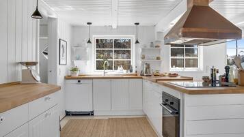 Fridge, oven, stovetop, dishwasher