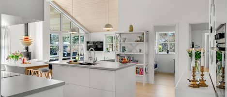 Fridge, oven, stovetop, dishwasher