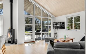 Een open haard en een dvd-speler