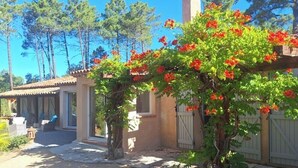 A house with a covered patio, a small garden, and a tree with red flowers. - Villa de prestige au cœur d’un domaine privé
Piscine privée & sérénité absolue (Le Muy)