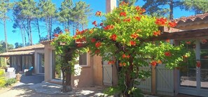 A house with a covered patio, a small garden, and a tree with red flowers.