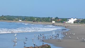 På stranden, liggestole