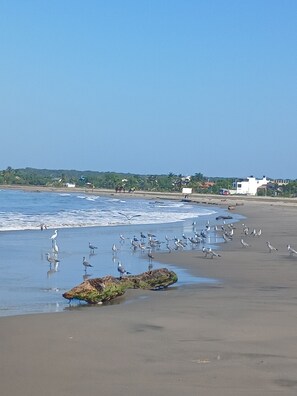 På stranden og solsenger