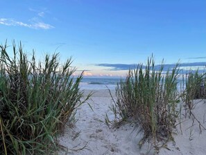 Sun-loungers, beach towels - The Tipsy Turtle SSB (Surfside Beach)