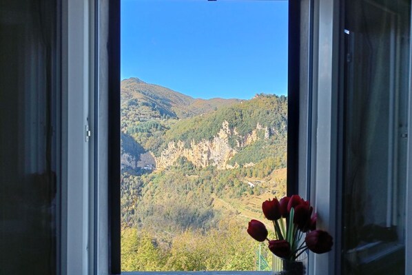 Interior - Casa Butterfly in the heart of Garfagnana (Gallicano)