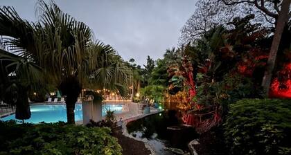 Fall Discounts Naples Park Shore Resort Penthouse Hog Fish Harry’s