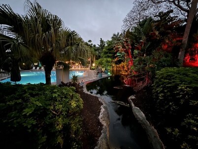 Summer DISCOUNT Naples Park Shore Resort, Penthouse, On Site Restaurant