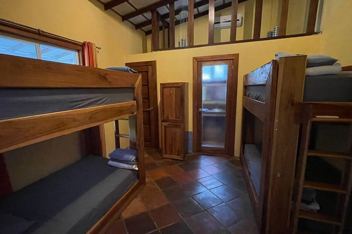 A dormitory room with bunk beds, a wooden ladder, and a small window.