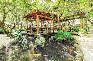 Un belvédère en bois surplombant un étang, le tout entouré d’une végétation luxuriante.