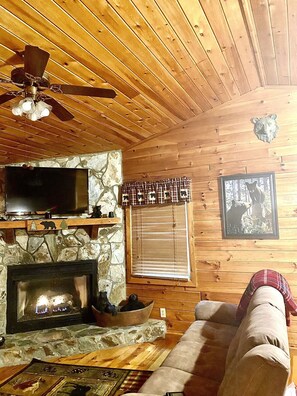 Living area - Cozy Cabin with Hot Tub - Surrounded by woods! (Blue Ridge)