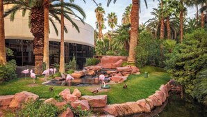 Un jardín ajardinado con un estanque, rocas y flamencos.